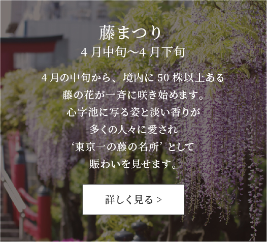 藤まつり