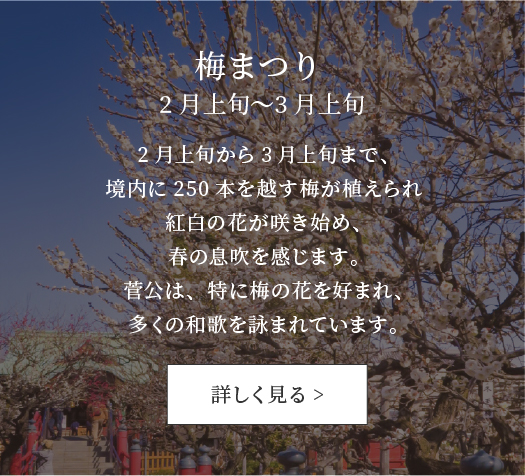 梅まつり