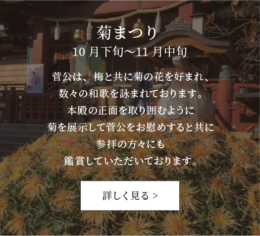 菊まつり